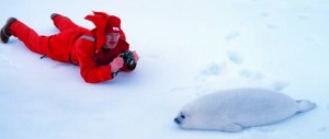 Photographer and baby seal